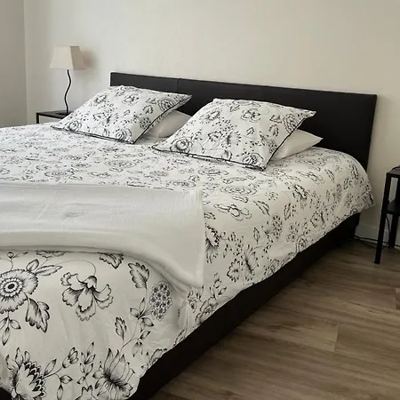 アパート Maison Les Sacres - T2 Bow Window - Cathedrale Hyper Centre *